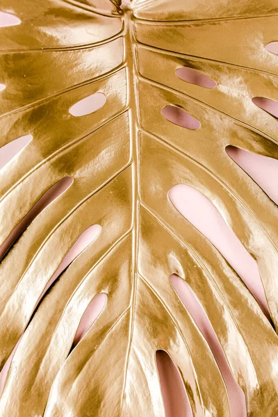 Altın tropikal palmiye pembe arka planda Canavar bırakır. Düz konum, üst görünüm minimum konsept.