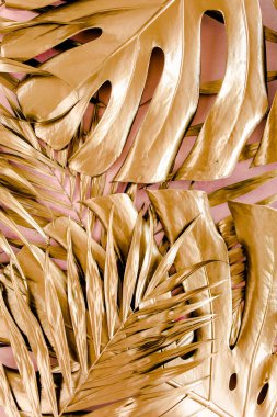 Altın tropikal palmiye pembe arka planda Canavar bırakır. Düz konum, üst görünüm minimum konsept.