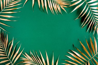 Altın tropikal palmiye yeşil arka planda Canavar bırakır. Düz konum, üst görünüm minimum konsept.