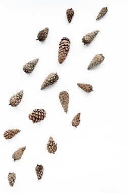 Beyaz üzerine koni desenli düzenleme. Düz yatış, üst manzara. Noel arkaplan duvar kağıdı