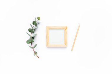 Çerçeve, kalem, yeşil yapraklar beyaz arka planda okaliptüs. düz yatış, üst görünüm