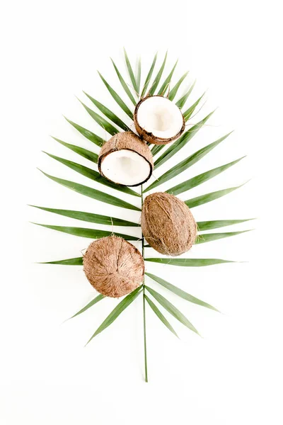 Foglia di palma verde tropicale e cocco incrinato su sfondo bianco. Concetto natura. appartamento, vista dall'alto — Foto Stock