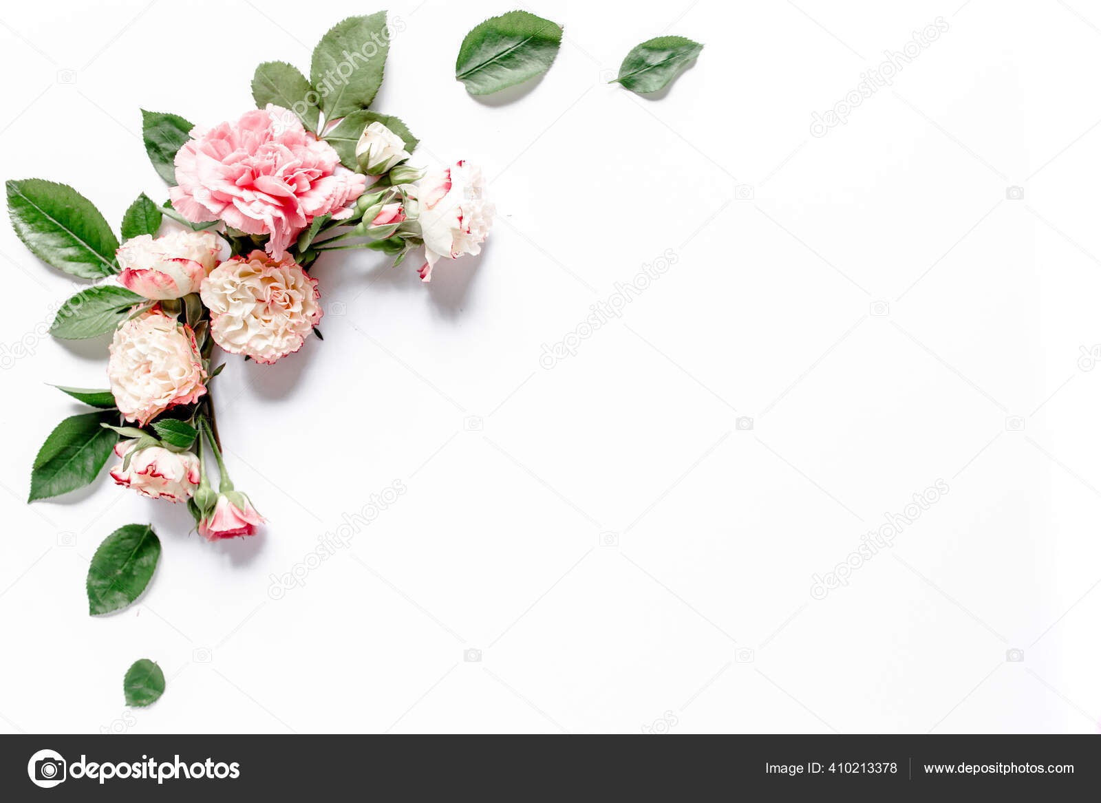 边框与粉红色玫瑰花蕾的分枝隔离在白色的背景 平躺在地上 尽收眼底 植物的背景 花框 花的框架 图库照片 C K Decor 边框与粉红色玫瑰花蕾的分枝隔离在白色的背景 平躺在地上 尽收眼底 植物的背景 花框 花的框架 图库照片 C K Decor