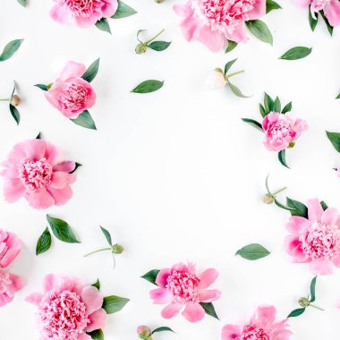 Beyaz arkaplanda yazı için yeri olan pembe şakayık çiçekleri çerçevesi. Şakayık desenli. Düz yatış, üst görünüm. 