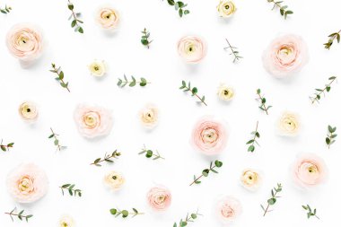 Beyaz arka planda pembe ranunculus çiçek tomurcuklarından ve okaliptüs dallarından oluşan çiçek arkaplan dokusu. Düz yatar, üst görünüm çiçek arkaplanı.