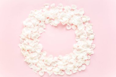 Pembe arka planda bej yapraklı güller. Düz yerde, üst tarafta. Sevgililer Günü geçmişi. Sevgililer Günü konsepti.