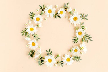 Papatya çelengi, taç yaprakları, bej arka planda yapraklar. Düz yatar, üst görünüm çiçek arkaplanı.