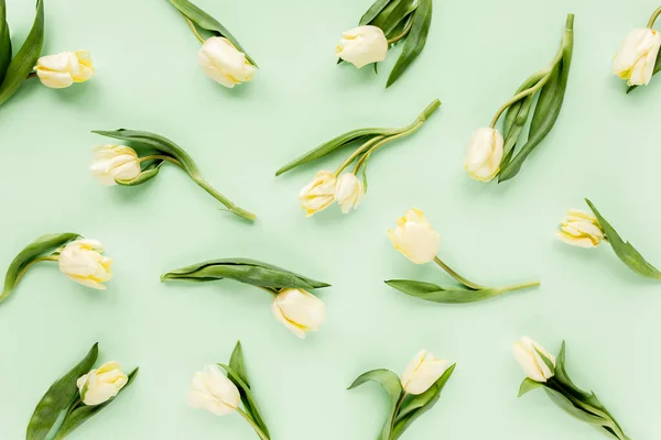 Floral pattern made of yellow tulip on green background. Flat lay, top view. Valentines background. Floral pattern. Pattern of flowers.