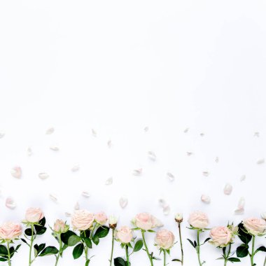 Pembe güllerden, yeşil yapraklardan, beyaz arkaplanda dallardan oluşan çiçek deseni. Düz yerde, üst tarafta. Sevgililer Günü geçmişi. Çiçek deseni. Desen 