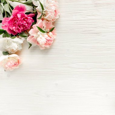 Kenar çerçevesi pembe ve bej şakayıklardan yapılmış ve beyaz arka planda izole edilmiş. Düz yerde, üst tarafta. Çiçek çerçevesi.