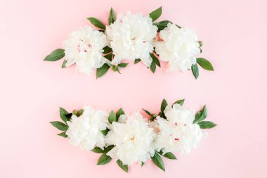 Beyaz şakayık çiçekleri çerçevesi, pembe arka planda yazı için yer var. Şakayık desenli. Düz yatış, üst görünüm. 