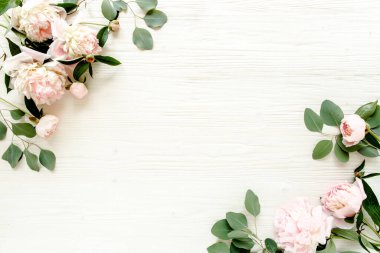 Kenar çerçevesi pembe ve bej şakayıklardan yapılmış ve beyaz arka planda izole edilmiş. Düz yerde, üst tarafta. Çiçek çerçevesi.