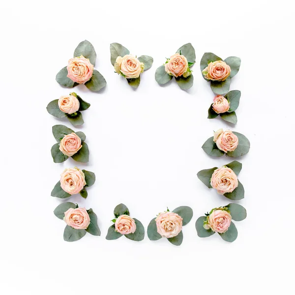 Quadro feito de rosas rosa, folhas verdes eucalipto, ramos, padrão floral sobre fundo branco. Deitado plano, vista superior. Valentines fundo. — Fotografia de Stock