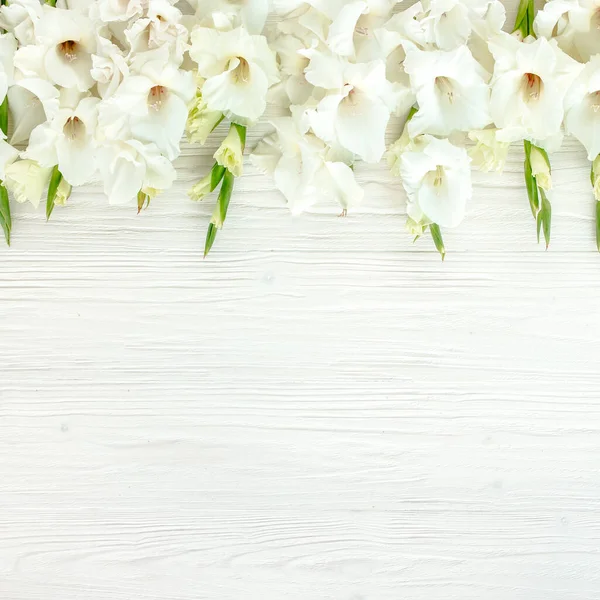 White gladioluses on wooden white background. Pattern of gladioli with space for your text holiday greeting card. Lay Flat, top view. Flowers texture. — Stock Photo, Image