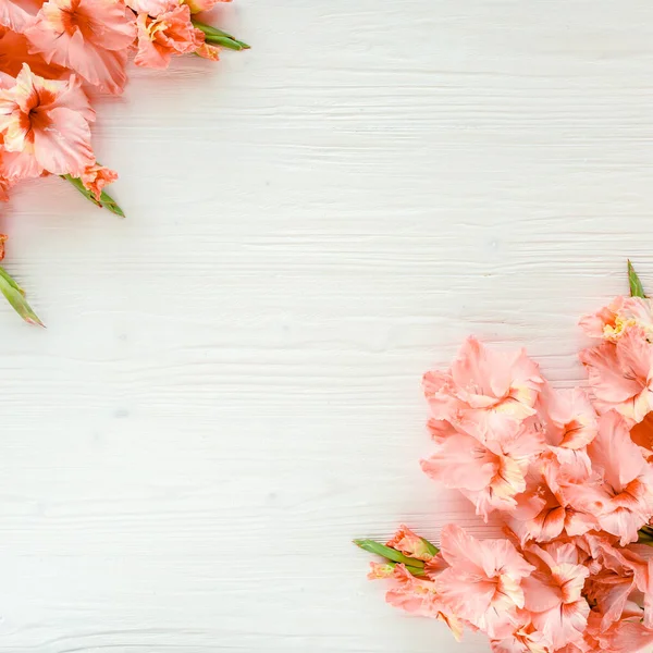 Gladiolos rosados sobre fondo blanco de madera. Patrón floral de la tarjeta de felicitación de vacaciones gladioli. Asiento plano, vista superior. Marco de flores. Textura flores — Foto de Stock