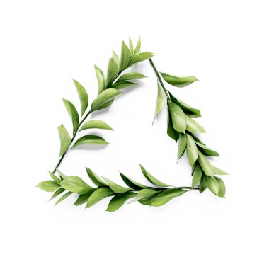 Beyaz arka planda yeşil yaprakları ve dalları olan üçgen çerçeve. Düz uzan, üst görünüm