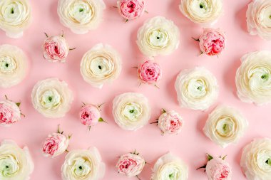 Pembe ranunculus ve pembe arka planda gül tomurcuklarından oluşan çiçek arkaplan dokusu. Düz yatar, üst görünüm çiçek arkaplanı.