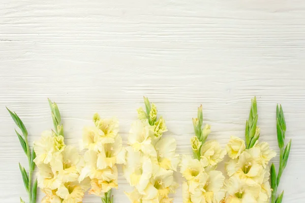 Tahta beyaz arka planda sarı gladioluslar. Gladioli bayram tebrik kartının çiçek deseni. Düz yerde, üst tarafta. Çiçek çerçevesi. Çiçek dokusu — Stok fotoğraf