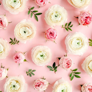 Beyaz arka planda pembe ranunculus çiçek tomurcuklarından yapılmış çiçek arkaplan dokusu. Düz yatar, üst görünüm çiçek arkaplanı.