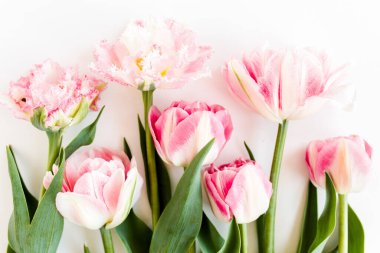 Beyaz arka planda buket pembe laleler. Minimum çiçek konsepti. Düz yatış, üst görünüm. 