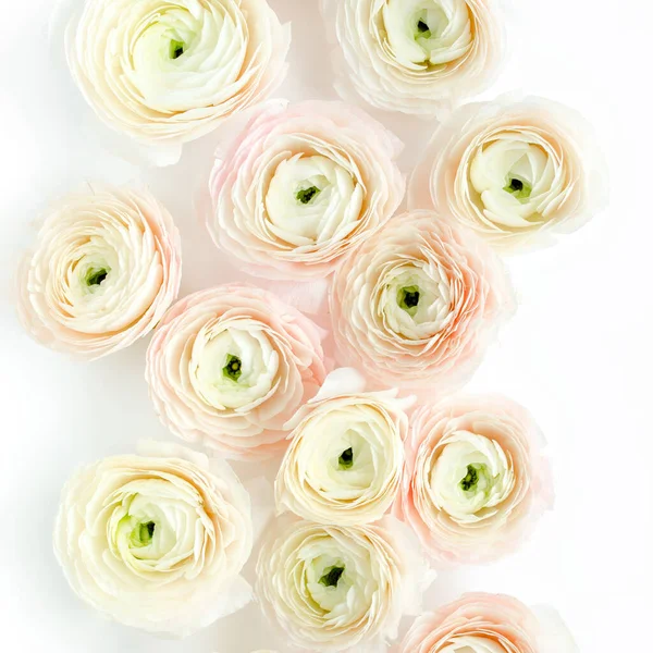 Texture de fond floral faite de bourgeons floraux de ranunculus rose sur fond blanc. Couché plat, vue sur le dessus fond floral. — Photo