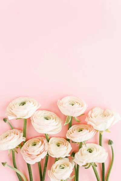 Mazzo di fiori ranuncoli rosa pastello su sfondo rosa. Concetto floreale minimo. Posa piatta, vista dall'alto. — Foto Stock