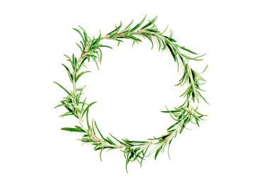 Yuvarlak çelenk çerçevesi bitkiler, yeşil dallar, biberiye yaprakları. Düz yatıyordu. Üst görünüm.