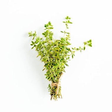 Beyaz arka planda yeşil kekik demeti izole edilmiş. Bitkiler. Düz yatıyordu. Üst görünüm