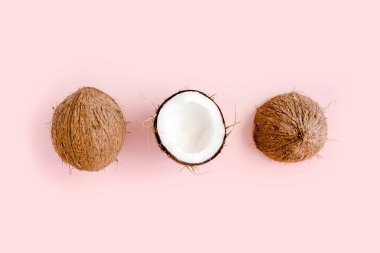 Hindistan cevizi ve pembe arka planda tropikal palmiye yapraklı desen. Tropik soyut arka plan. Düz yatış, üst görünüm.