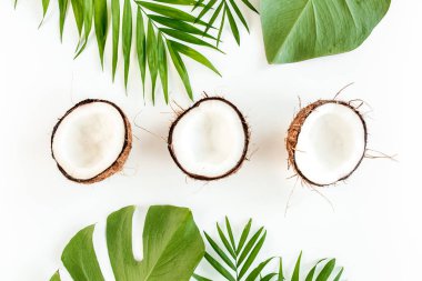 Beyaz arka planda, hindistan cevizi ve tropikal palmiye yapraklarıyla çerçevelenmiş desen. Tropik soyut arka plan. Düz yatış, üst görünüm.