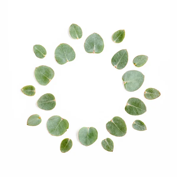 Abstract composition. Round wreath frame made of leaf eucalyptus isolated on white background. lay flat, top view — Stock Photo, Image