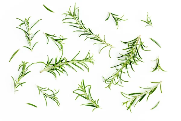 Green branch and leaves of rosemary isolated on a white background. Herbs. Flat lay. Top view — Stock Photo, Image