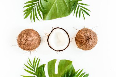 Beyaz arka planda, hindistan cevizi ve tropikal palmiye yapraklarıyla çerçevelenmiş desen. Tropik soyut arka plan. Düz yatış, üst görünüm.