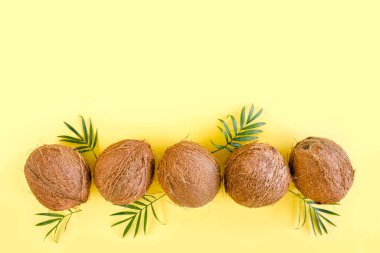 Sarı arka planda hindistan cevizi ve tropik palmiye yapraklı desen. Tropik soyut arka plan. Düz yatış, üst görünüm.