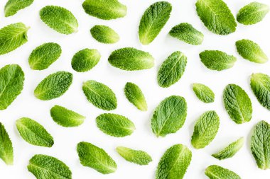 Nane yaprakları beyaz arka planda izole. Nane şekeri seti. Darphane deseni. Düz yatıyordu. Üst görünüm.