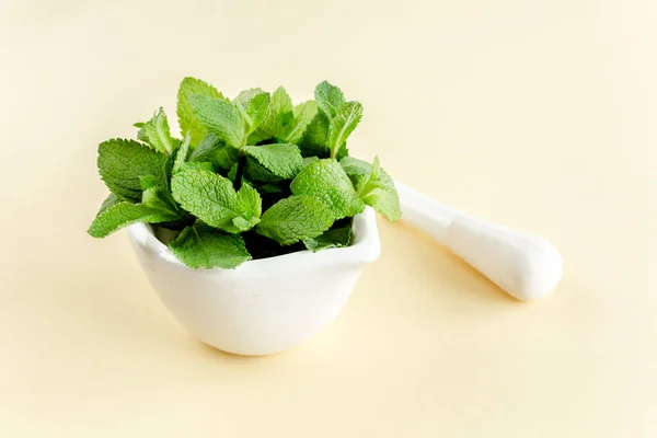 Green branch and leaves of rosemary isolated on a white background. Herbs. Flat lay. Top view — Stock Photo, Image