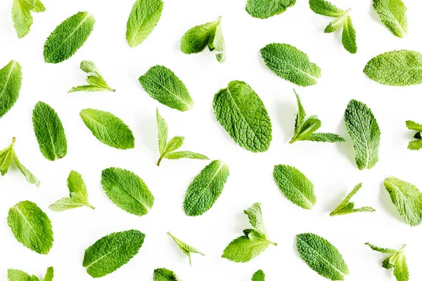 Mint leaves isolated on white background. Set of peppermint. Mint Pattern. Flat lay. Top view. — Stock Photo, Image