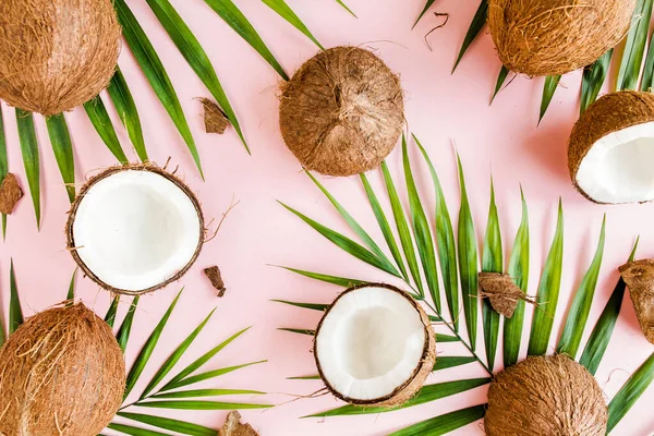 Patroon, textuur met kokosnoten en tropische palmbladeren op roze achtergrond. Tropische abstracte achtergrond. Vlakke lay, bovenaanzicht. — Stockfoto