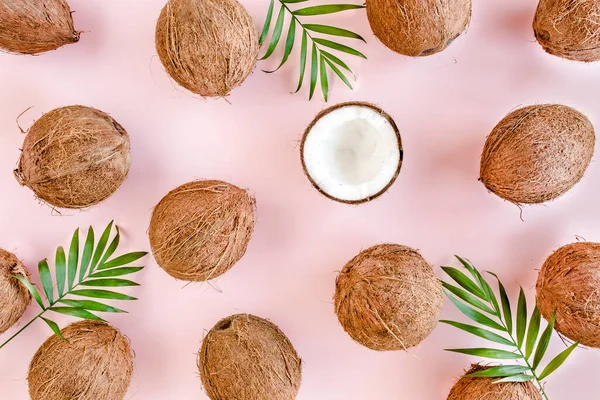 Mönster, konsistens med kokosnötter och tropiska palmblad på rosa bakgrund. Tropisk abstrakt bakgrund. Platt ligg, ovanifrån. — Stockfoto