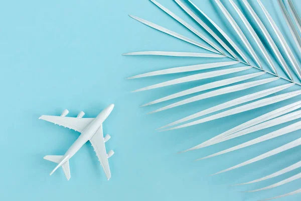 Vit modell plan, flygplan och palmblad på blå bakgrund. Ovanifrån, platt ligg. — Stockfoto