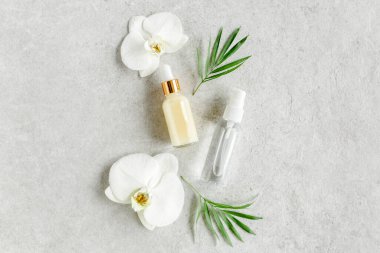 Temel yağ, sebze özü, serum, hyaluronik asit, yüz kremi, gri mermer arka planda tropik palmiye yaprakları. Spa cildi konsepti. Doğal.