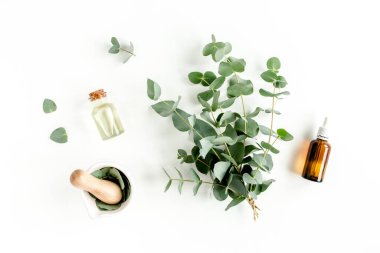 Bir şişe okaliptüs esaslı yağ, beyaz arka planda okaliptüs yaprakları. Doğal organik kozmetik ürünleri. Düz yatış, üst görünüm.