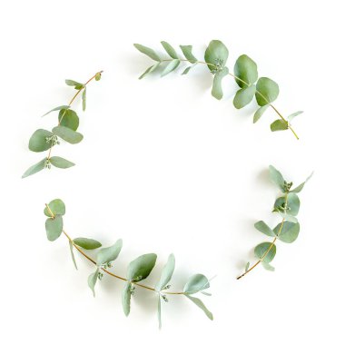 Okaliptüsten yapılmış çelenk, beyaz arka planda izole edilmiş yapraklar. Düz yerde, üst tarafta. Çiçek konsepti