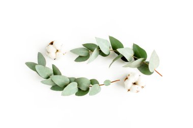 Okaliptüs dallarından, yapraklardan ve beyaz arka planda izole edilmiş pamuktan yapılmış çelenk çerçevesi. düz yatış, üst görünüm