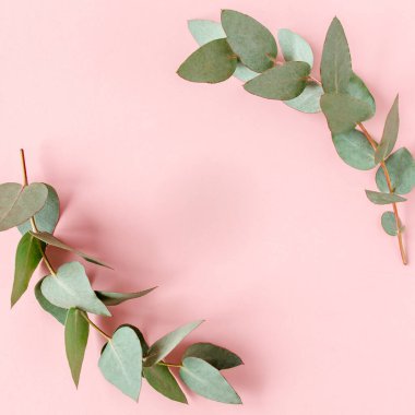 Pembe arka planda okaliptüs yapraklarından yapılmış çerçeve kenarları. Düz yerde, üst tarafta. Çiçek konsepti