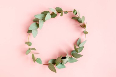 Pembe arka planda okaliptüs yapraklarından yapılmış çerçeve kenarları. Düz yerde, üst tarafta. Çiçek konsepti