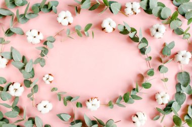 Çerçeve, okaliptüs dallarından yapılmış şablon, pembe arkaplanda izole edilmiş yapraklar ve pamuk ve metin için boş alan. Düz yatış, üst görünüm. 