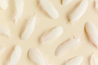 Bej arka planda beyaz tüy dokusu. Tüylü arka plan. Düz yatış, üst görünüm