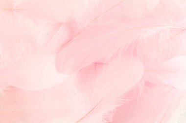 Pembe tüyler arka planda. Tüylü arka plan. Düz yatış, üst görünüm