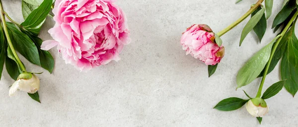 Gri taş masanın üzerinde güzel pembe şakayık çiçekleri ve metin için fotokopi alanı. Düz stil, üst görünüm